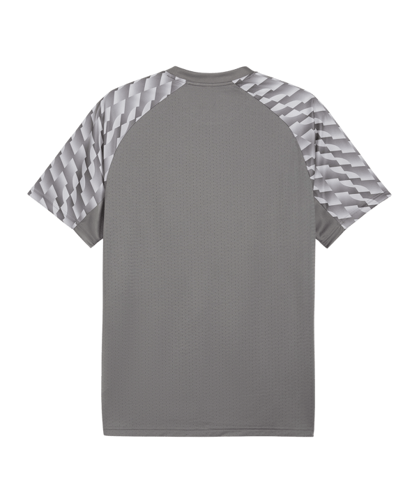 PUMA teamLIGA26 Trikot Grau F13 - grau