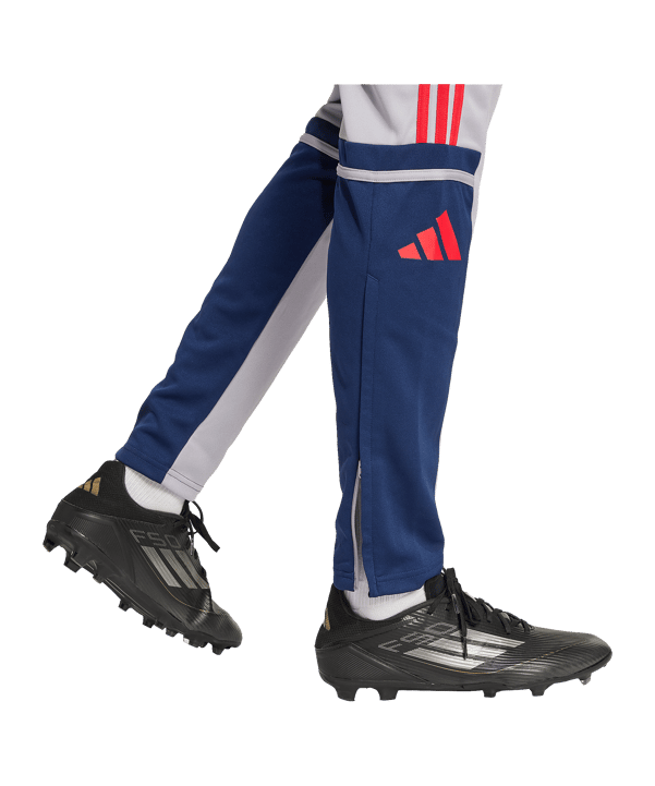 adidas Squadra 25 Trainingshose Grau - grau