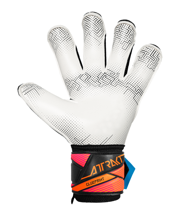 Reusch Attrakt Advance Evolution Glueprint Torwarthandschuhe Schwarz - schwarz