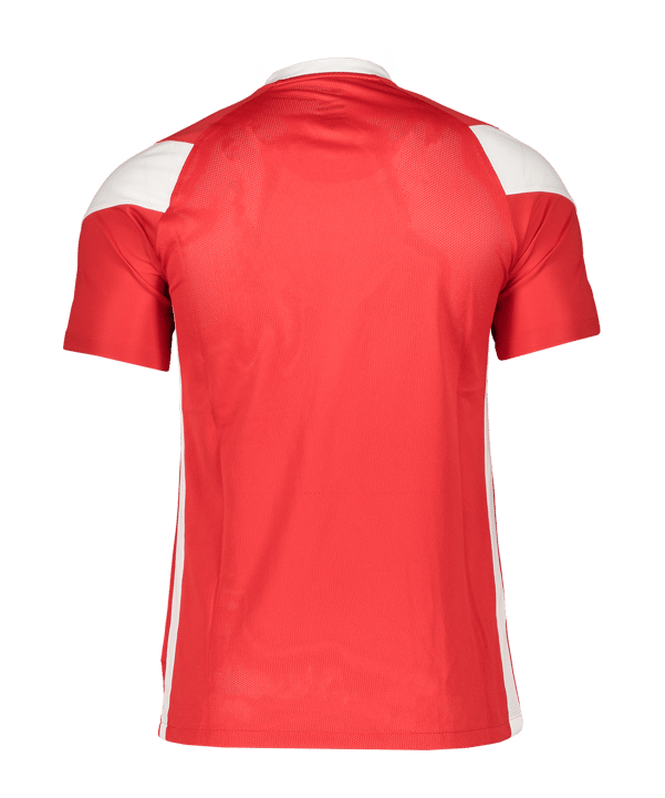 Nike Park Derby III Trikot Rot Weiss F657 - rot
