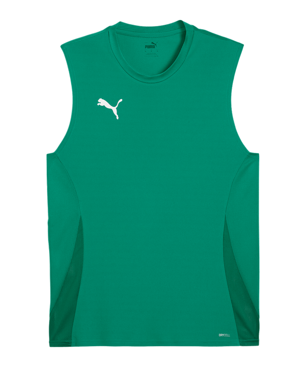 PUMA TeamGoal Trikot Grün F05 - gruen