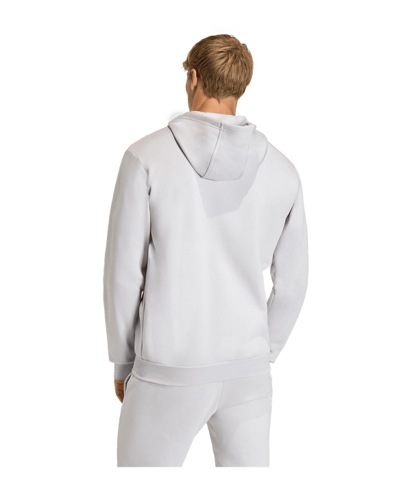 adidas Entrada 26 Kapuzenjacke Grau - grau