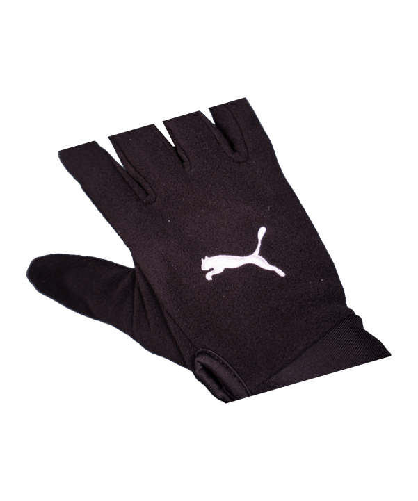 PUMA teamLIGA 21 Gloves Handschuhe Schwarz F01 - schwarz