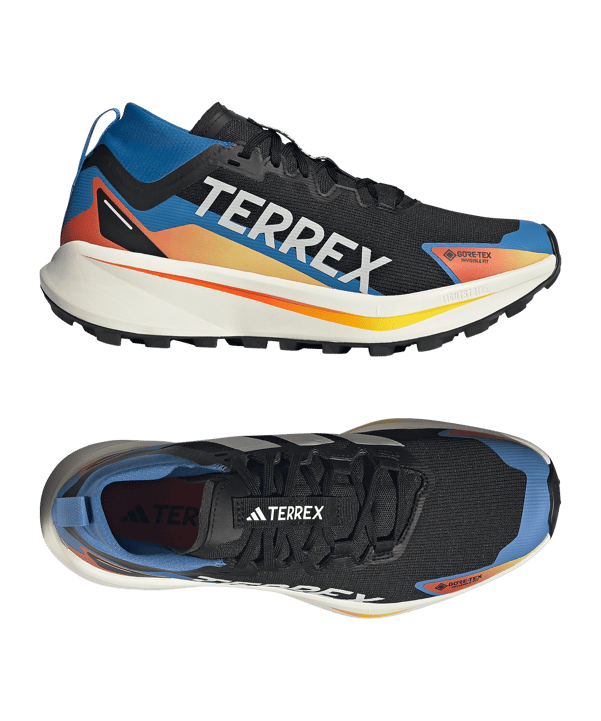 adidas TERREX Agravic GTX Laufschuh Schwarz - schwarz