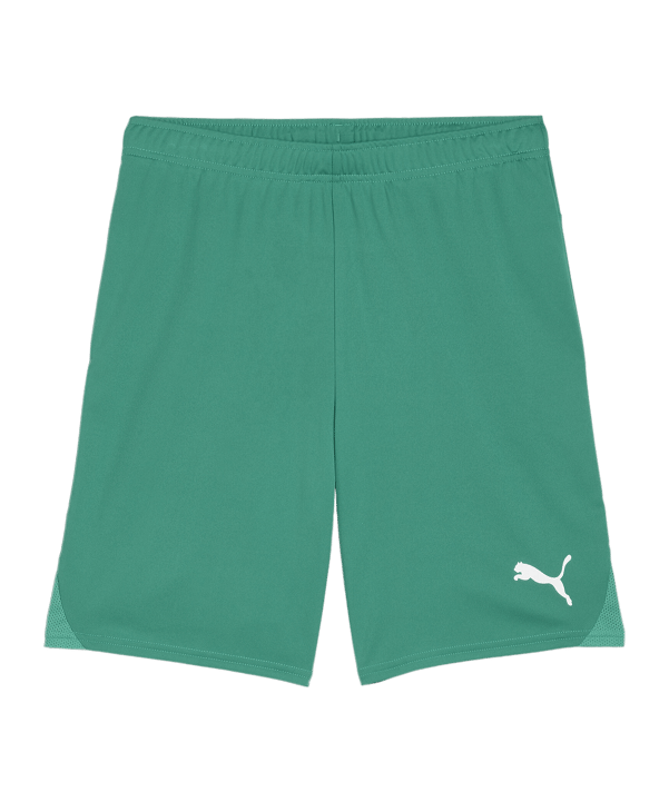 PUMA teamGOAL Short Grün Weiss F05 - gruen