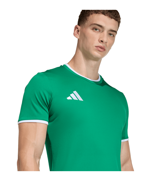 adidas Entrada 26 Trikot Grün - gruen