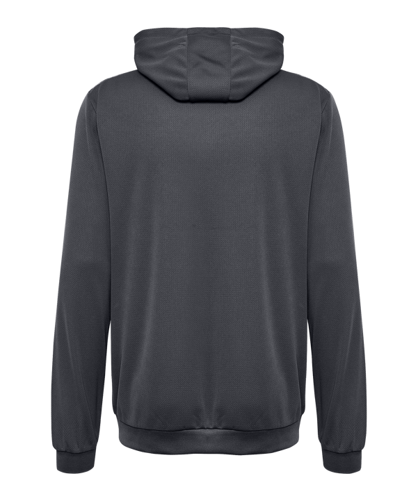 Hummel AUTHENTIC PL Hoody Grau F1525 - grau