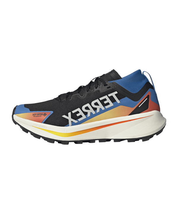 adidas TERREX Agravic GTX Laufschuh Schwarz - schwarz