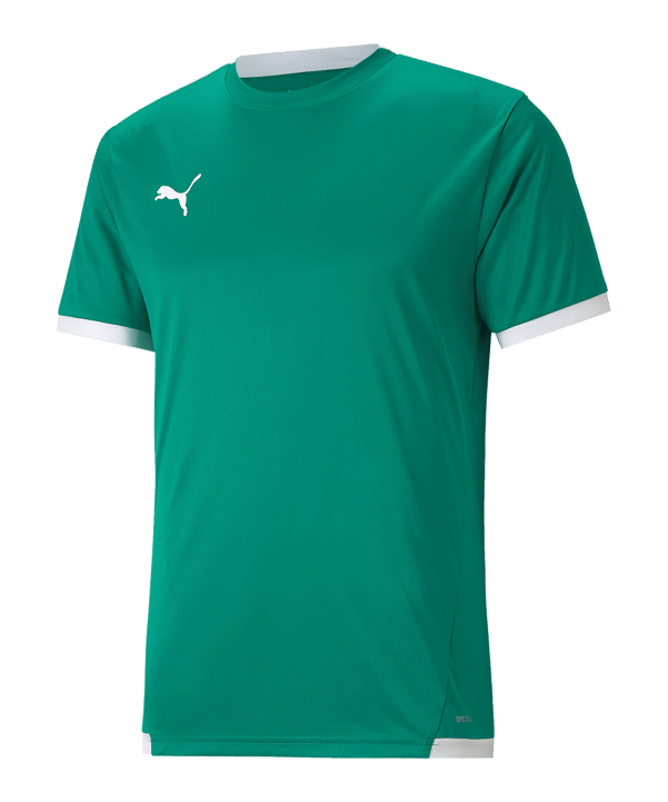 PUMA teamLIGA Trikot Grün F05 - gruen