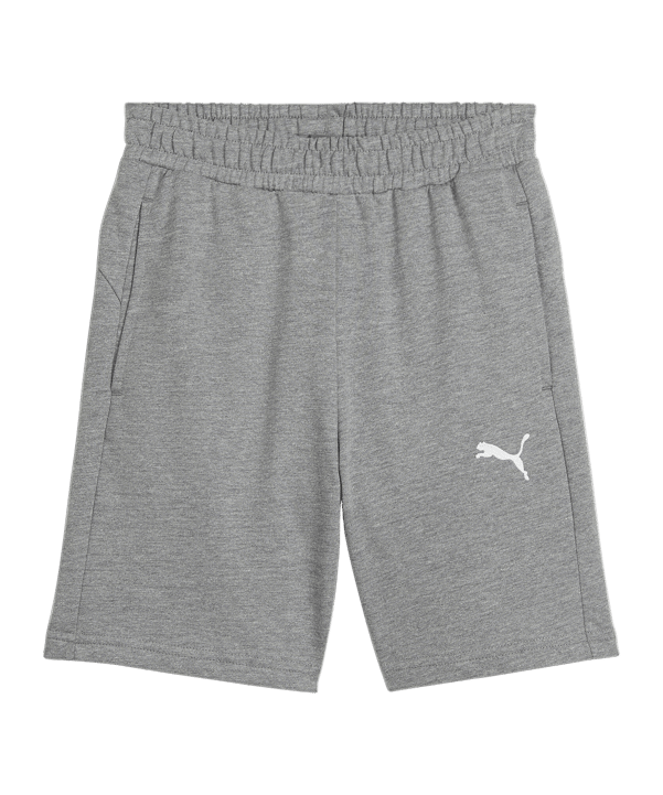 PUMA teamGOAL Casuals Shorts Kids Grau F33 - grau