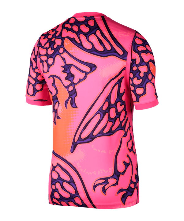 Nike NFF Nigeria Torwarttrikot WM 2026 Rosa F645 - rosa
