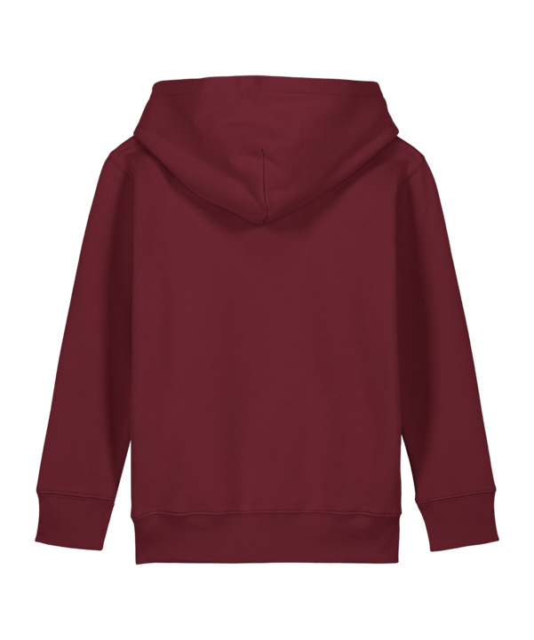Merch Mini Cruiser 2.0 Hoody Kids Burgundy FC244 - rot