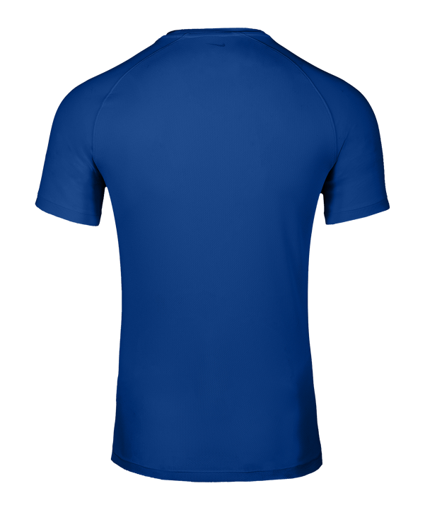 Nike Park VIII Trikot Blau F463 - blau