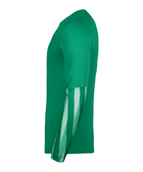 Nike Park V Trikot langarm Grün F324 - gruen