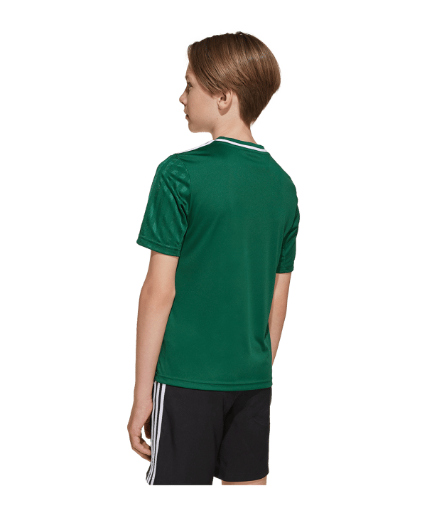 adidas Trikot Kids Grün - gruen