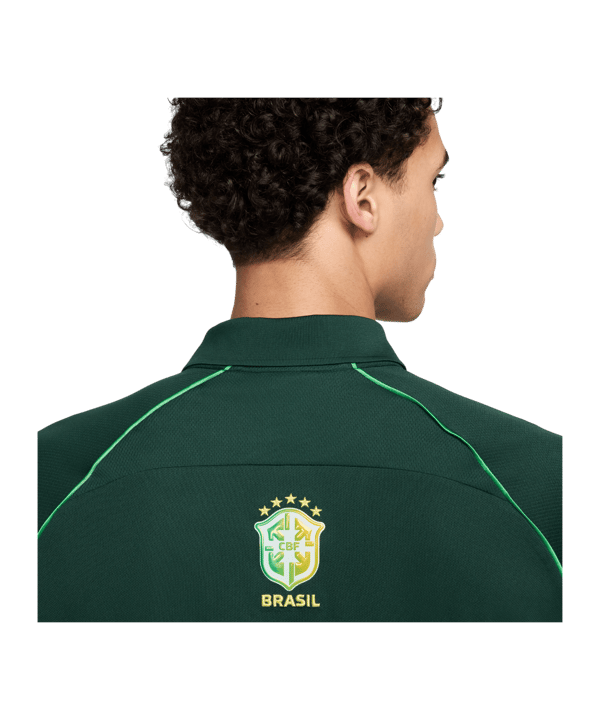 Nike Brasilien Soccer Trikot Copa America 2024 Grün F397 - gruen