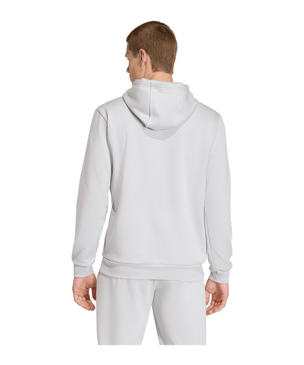 adidas Entrada 26 Hoody Grau - grau