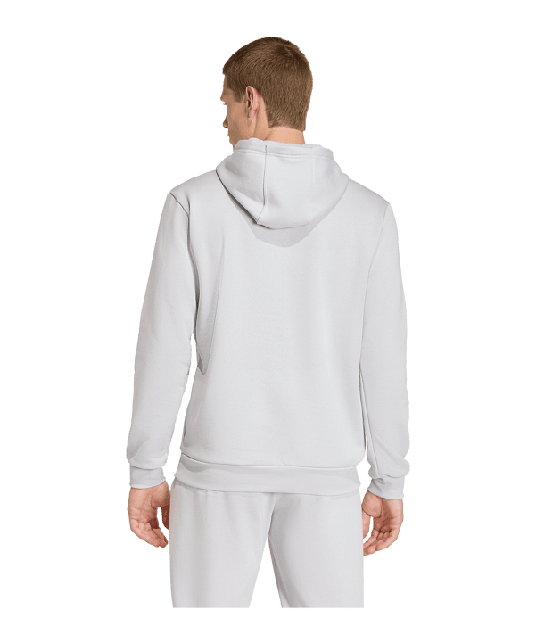 adidas Entrada 26 Hoody Grijs - grijs