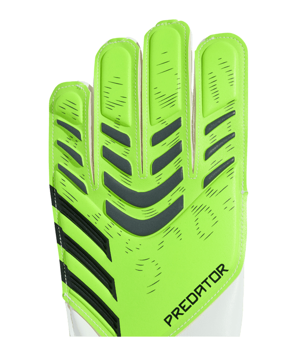 adidas Predator Glove Training Torwarthandschuhe Kids Grün