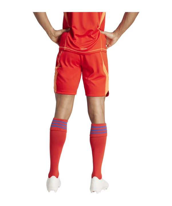 adidas Tiro 24 Pro Torwartshort Rot - rot