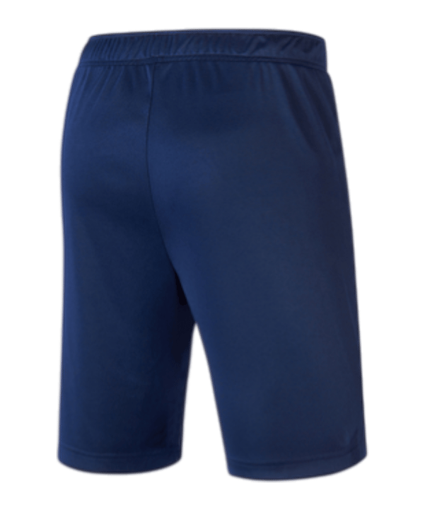 Mizuno Nara Trainng Short Blau F14 - blau