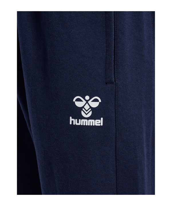 Hummel TRAVEL Jogginghose Blau F7026 - blau