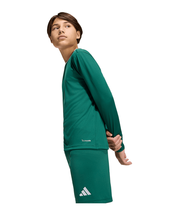 adidas Entrada 26 Trikot Langarm Kids Grün - gruen