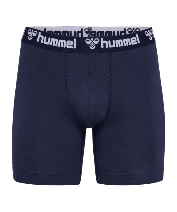 Hummel 2-Pack underwear Shorts blu F7026 - blu