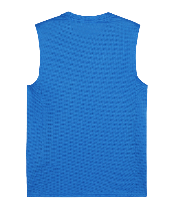 PUMA teamGOAL Tanktop Blau Weiss F02 - blau