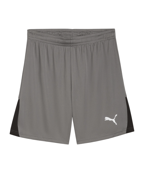 PUMA teamLIGA26 Short Grau F13 - grau