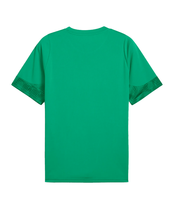 PUMA Trikot Grün F05 - gruen