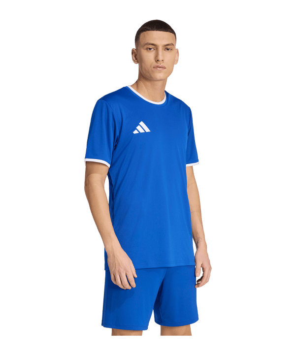 adidas Entrada 26 Trikot Blau - blau