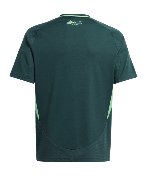 adidas Algerien Trikot Away 2024 Kids Grün - gruen