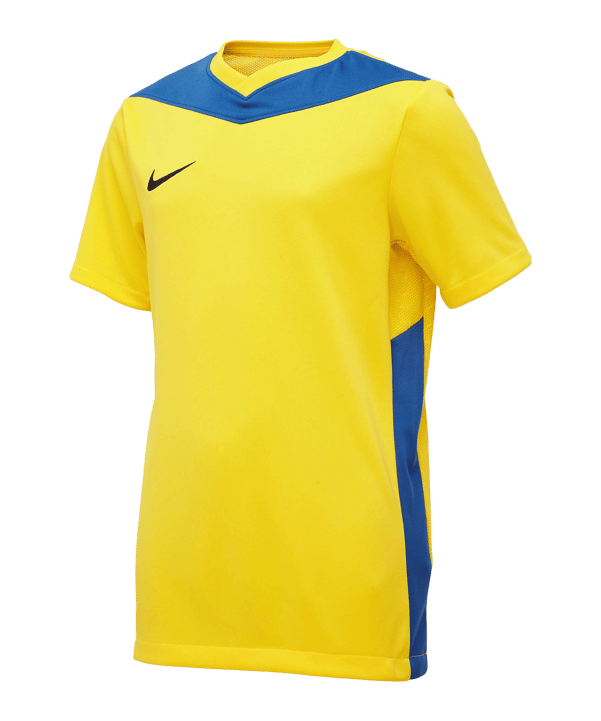 Nike Park Derby IV Trikot Kids Gelb Blau F720 - gelb