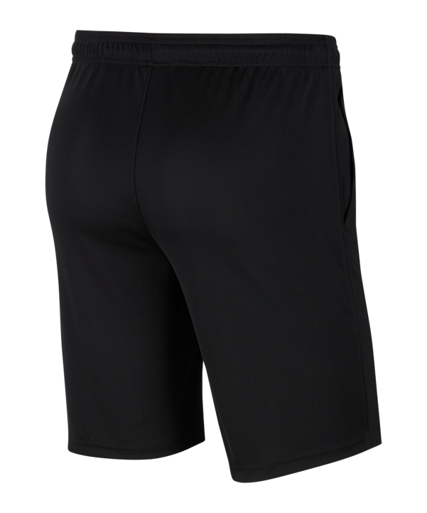 Nike Park 20 Knit Short Kids Schwarz Weiss F010 - schwarz