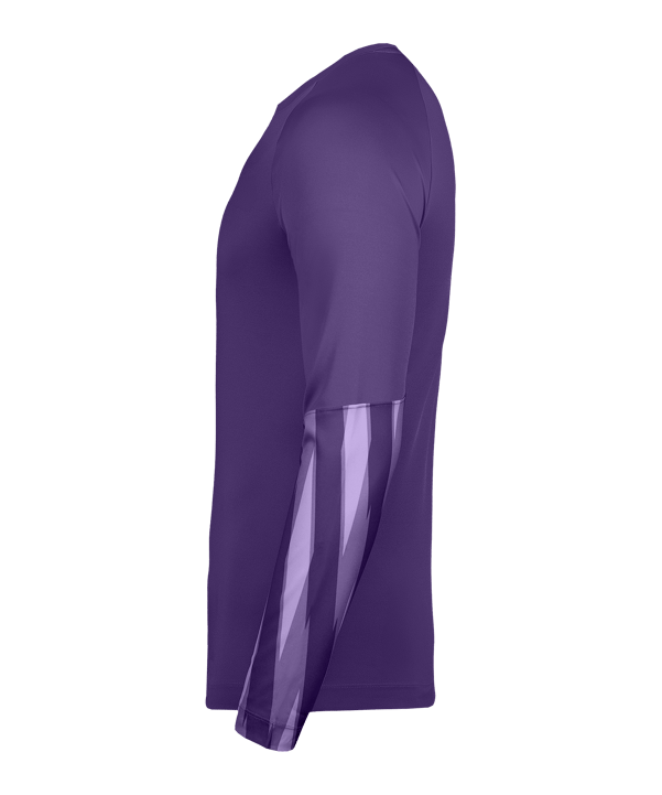 Nike Park V Trikot langarm Lila F507 - lila