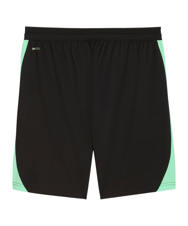 PUMA SFV Schweiz Training Short Schwarz F10 - schwarz