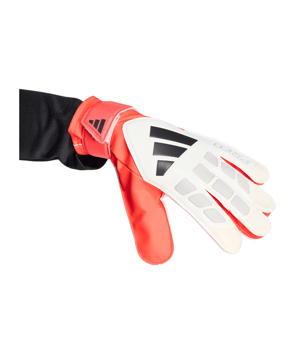 adidas Predator Training Torwarthandschuhe Weiß - weiss