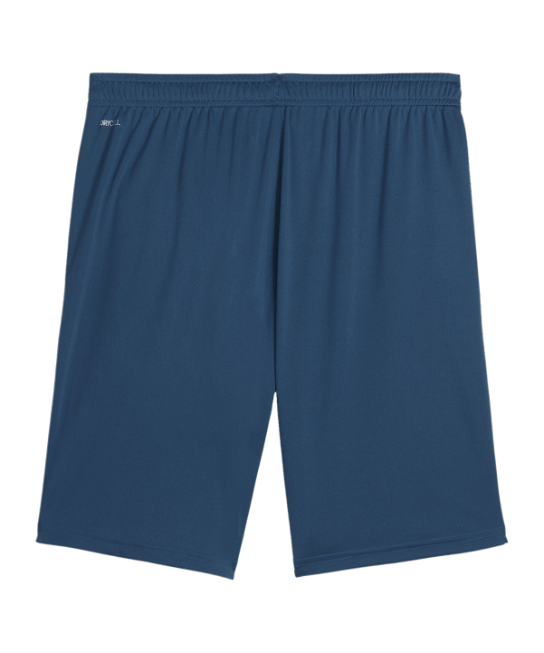 PUMA teamLIGA Short 2 Grün Rosa F56 - gruen