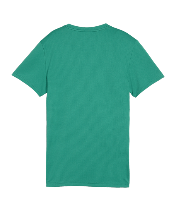 PUMA teamGOAL Trikot Damen Grün F05 - gruen