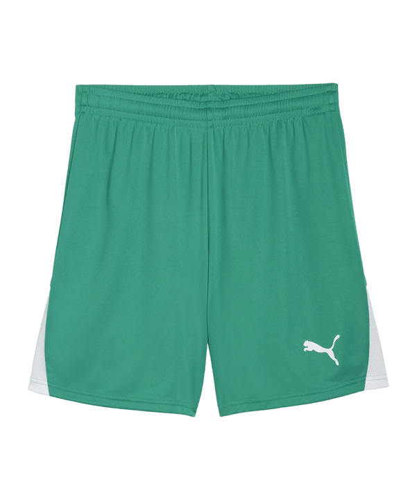 PUMA teamLIGA26 Short Grün F05 - gruen