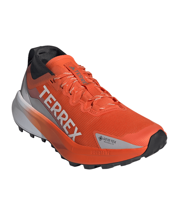 adidas Dames Terrex Agravic GTX Loopschoen Wit - wit