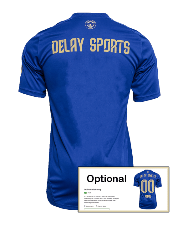 adidas Delay Sports Trikot 2024/2025 Blau - blau