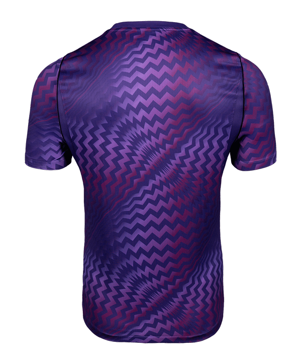 Nike Gardien VI Torwarttrikot Damen Lila F507 - lila