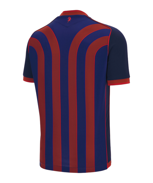 Macron FC Basel Trikot Home 2025/2026 Blau - blau