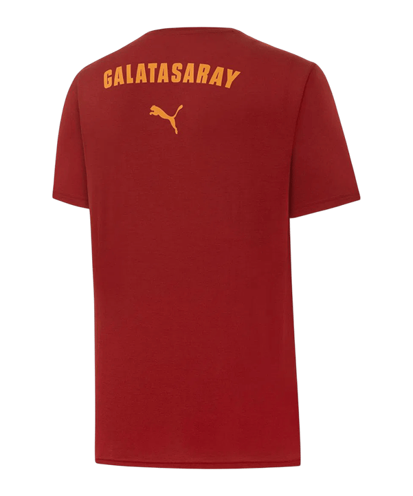 PUMA Galatasaray Istanbul T-Shirt Rot F01
