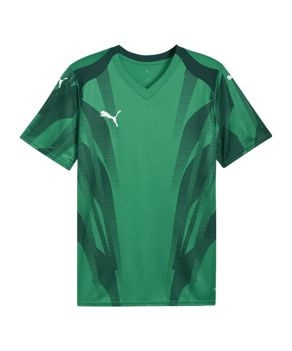PUMA teamFINAL Graphic Maillot Vert C05 - vert