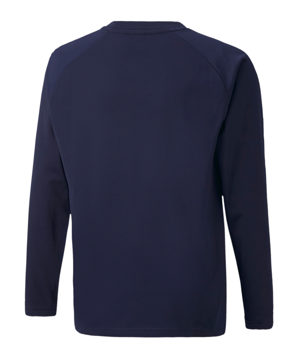 PUMA teamLIGA Sweatshirt Kids Blau F06 - blau