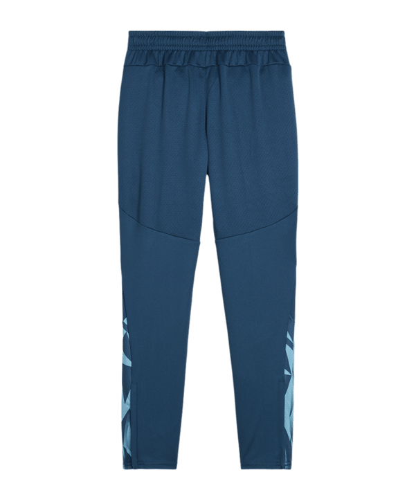PUMA individualFINAL Trainingshose Kids Grün F56 - gruen