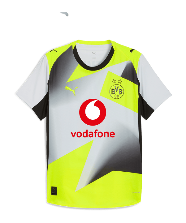 PUMA Borussia Dortmund Authentic Trikot Away Grau F02 - grau